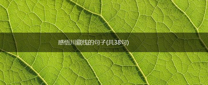 感悟川藏线的句子(共38句),第1张