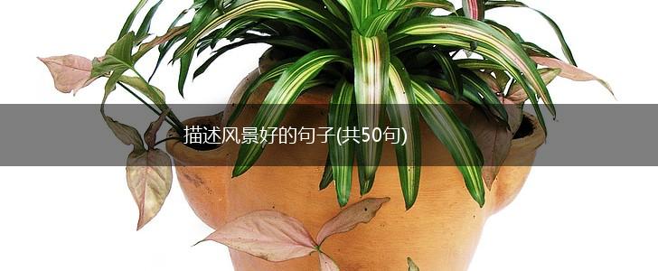 描述风景好的句子(共50句),第1张