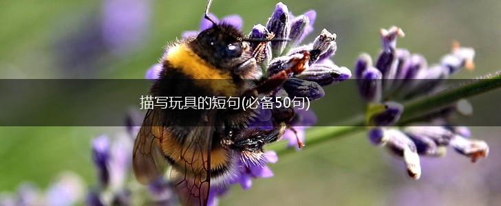 描写玩具的短句(必备50句),第1张