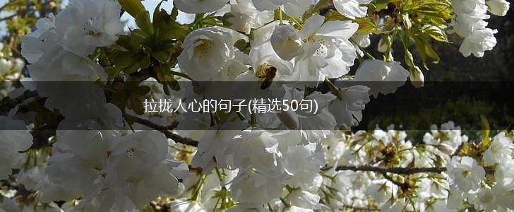 拉拢人心的句子(精选50句),第1张