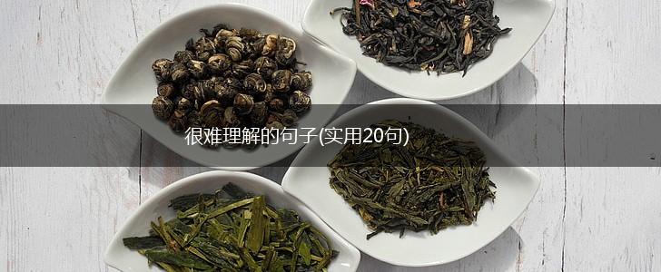 很难理解的句子(实用20句),第1张