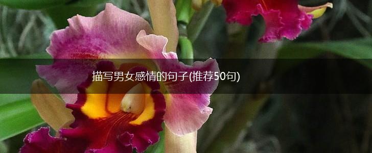 描写男女感情的句子(推荐50句),第1张