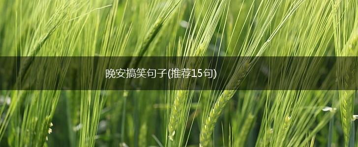 晚安搞笑句子(推荐15句),第1张