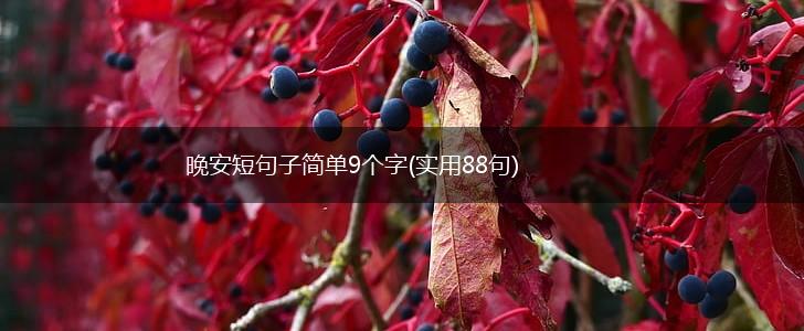 晚安短句子简单9个字(实用88句),第1张