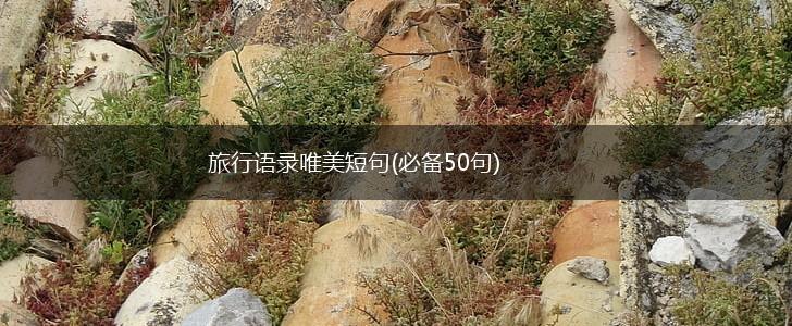 旅行语录唯美短句(必备50句),第1张