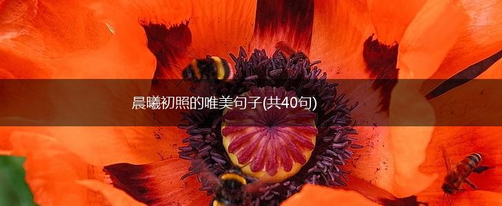 晨曦初照的唯美句子(共40句),第1张