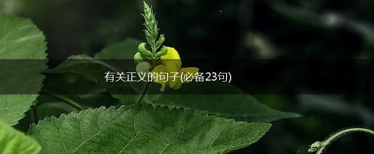 有关正义的句子(必备23句),第1张