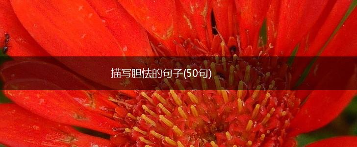 描写胆怯的句子(50句),第1张