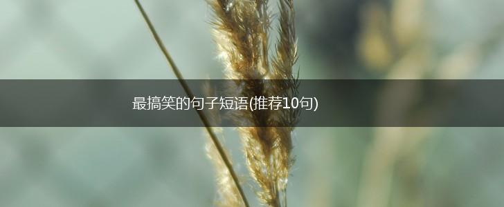 最搞笑的句子短语(推荐10句),第1张