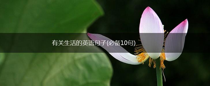 有关生活的英语句子(必备10句),第1张