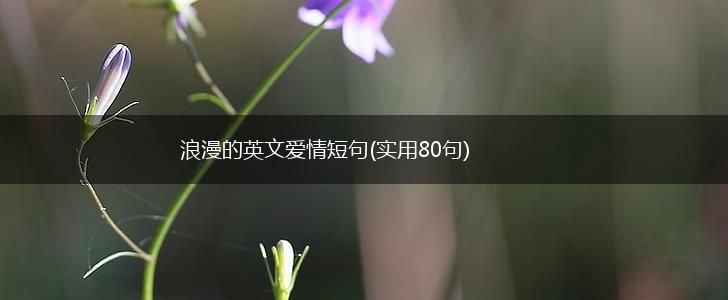 浪漫的英文爱情短句(实用80句),第1张