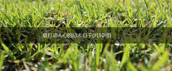 最打动人心的励志句子(共50句),第1张