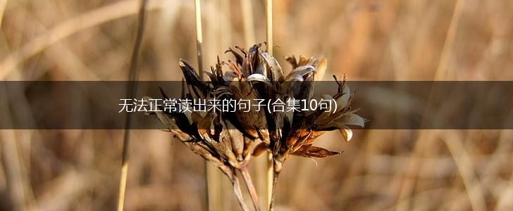 无法正常读出来的句子(合集10句),第1张