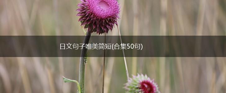 日文句子唯美简短(合集50句),第1张