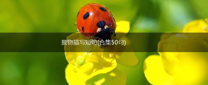 景物描写短句(合集50句),第1张