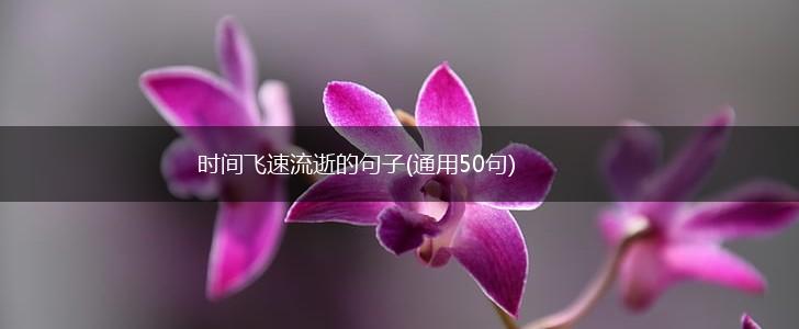 时间飞速流逝的句子(通用50句),第1张