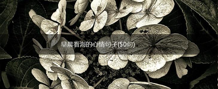 早晨看海的心情句子(50句),第1张