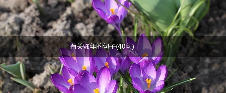 有关骚年的句子(40句),第1张