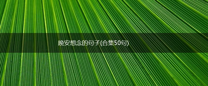 晚安想念的句子(合集50句),第1张