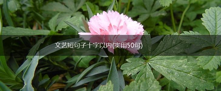 文艺短句子十字以内(实用50句),第1张