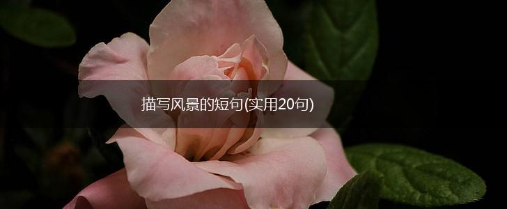 描写风景的短句(实用20句),第1张