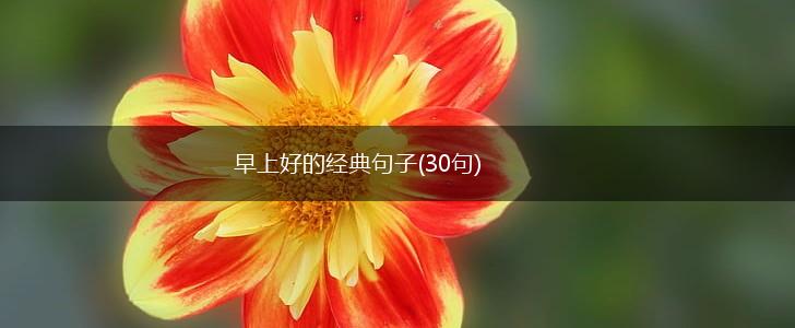 早上好的经典句子(30句),第1张