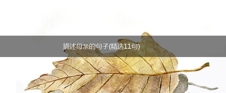 描述母亲的句子(精选11句),第1张