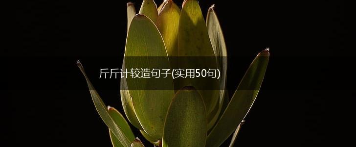 斤斤计较造句子(实用50句),第1张