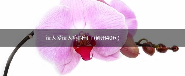 没人爱没人疼的句子(通用40句),第1张
