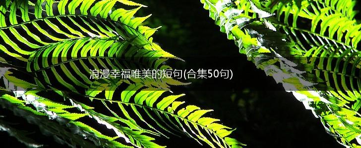 浪漫幸福唯美的短句(合集50句),第1张