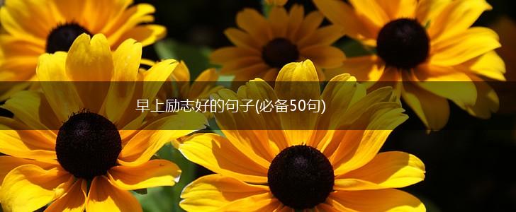 早上励志好的句子(必备50句),第1张