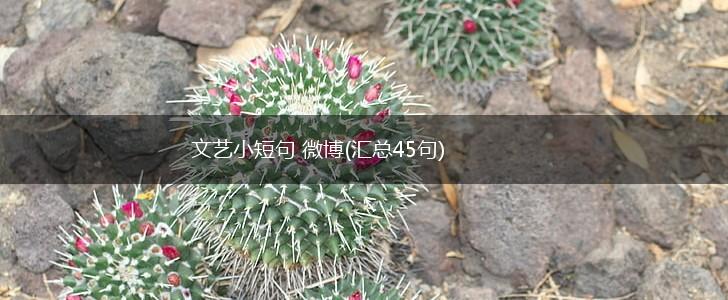 文艺小短句 微博(汇总45句),第1张