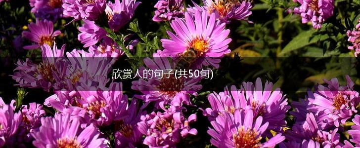 欣赏人的句子(共50句),第1张