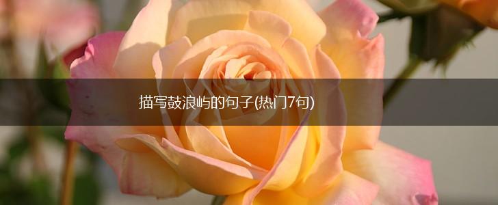 描写鼓浪屿的句子(热门7句),第1张