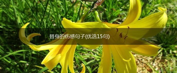 替身的伤感句子(优选15句),第1张