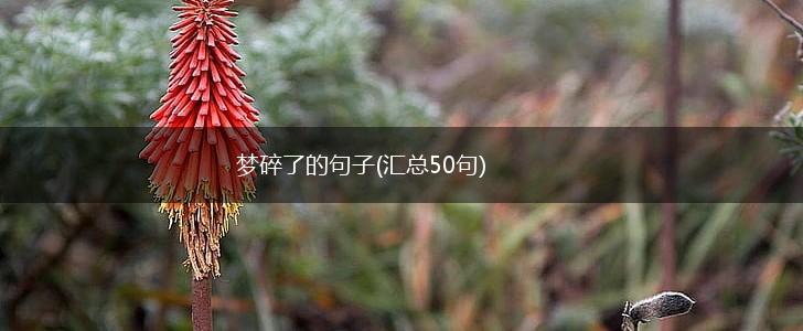 梦碎了的句子(汇总50句),第1张