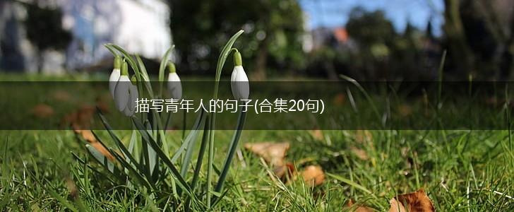 描写青年人的句子(合集20句),第1张