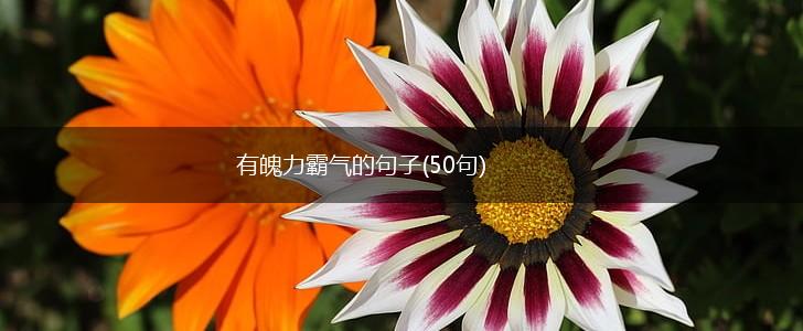 有魄力霸气的句子(50句),第1张