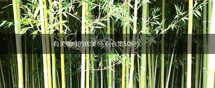 有关咖啡的优美句子(合集50句),第1张
