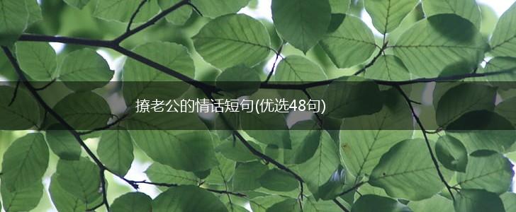 撩老公的情话短句(优选48句),第1张