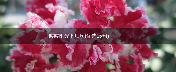 暖暖阳光的短句(优选15句),第1张
