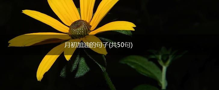 月初加油的句子(共50句),第1张