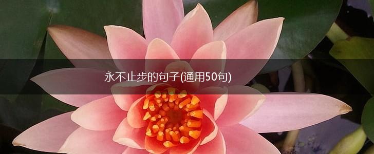 永不止步的句子(通用50句),第1张