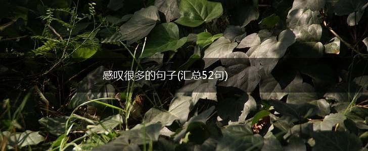 感叹很多的句子(汇总52句),第1张