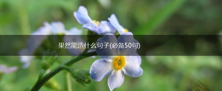 果然能造什么句子(必备50句),第1张