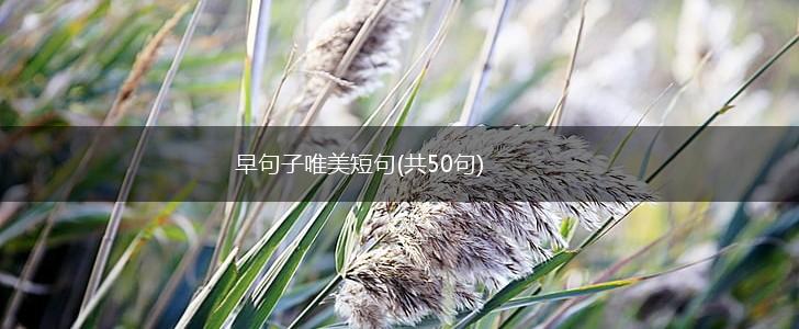 早句子唯美短句(共50句),第1张