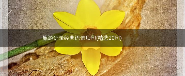 旅游语录经典语录短句(精选20句),第1张