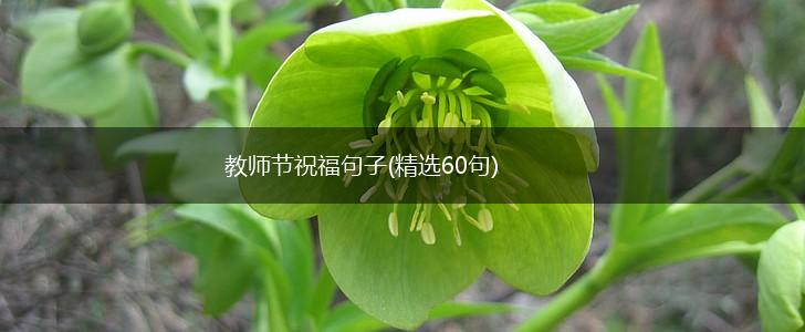 教师节祝福句子(精选60句),第1张