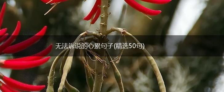 无法诉说的心累句子(精选50句),第1张