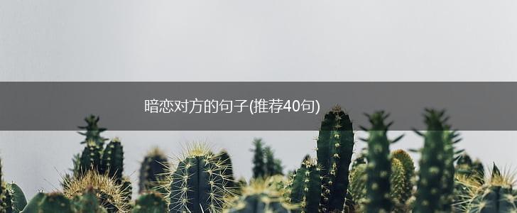 暗恋对方的句子(推荐40句),第1张